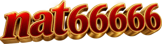 nat66666 Logo